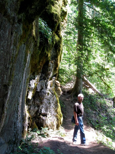 Paradise Creek-131.JPG - Falls Creek Trail